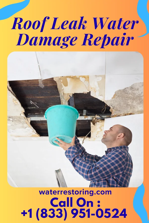 Roof Leak Water Damage Repair in Benjamin, TX