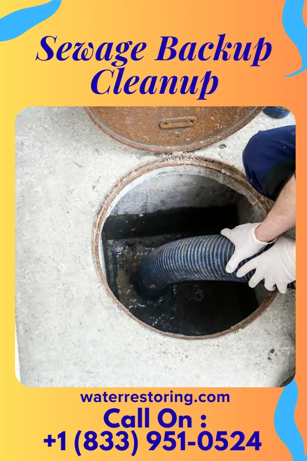 Sewage Backup Cleanup in Benjamin, TX
